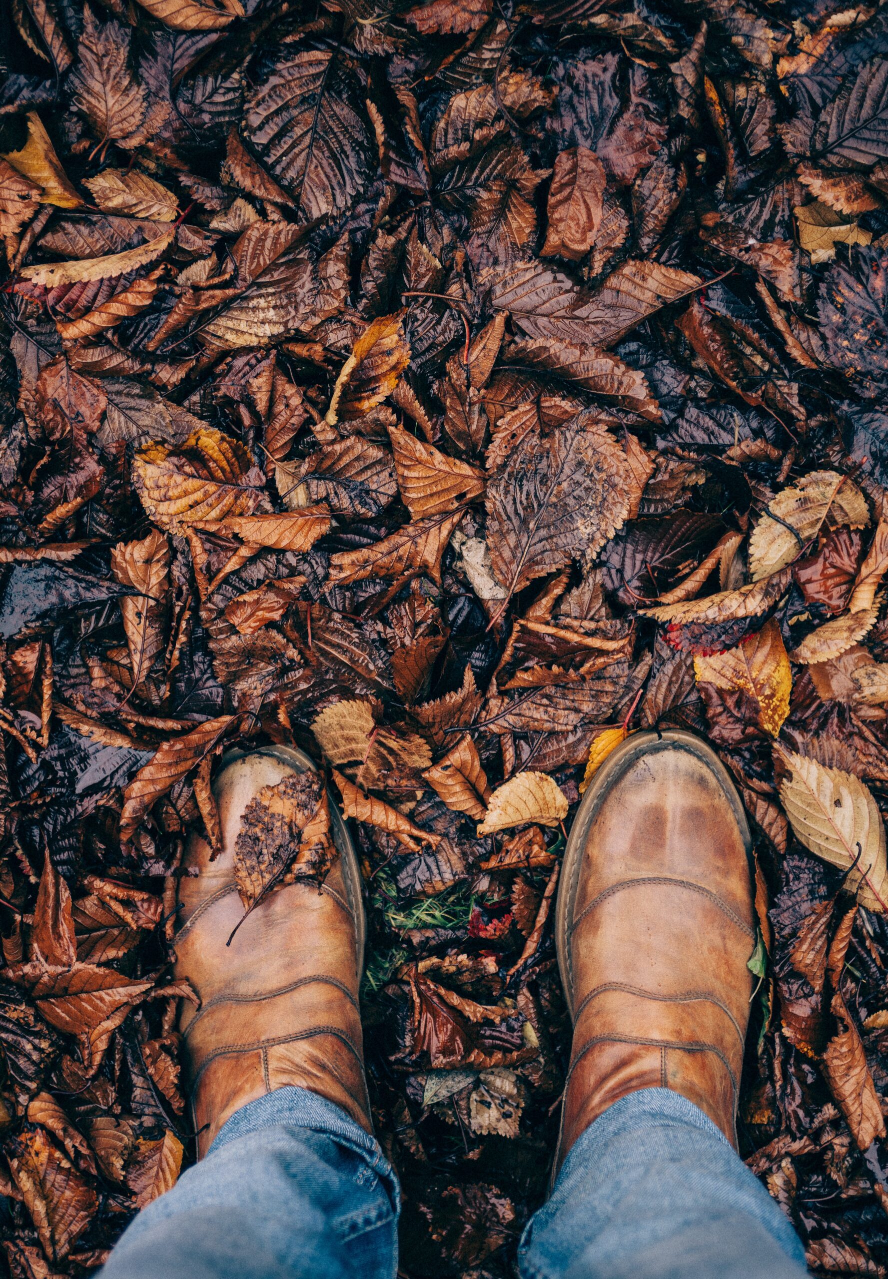 Boots in leaves