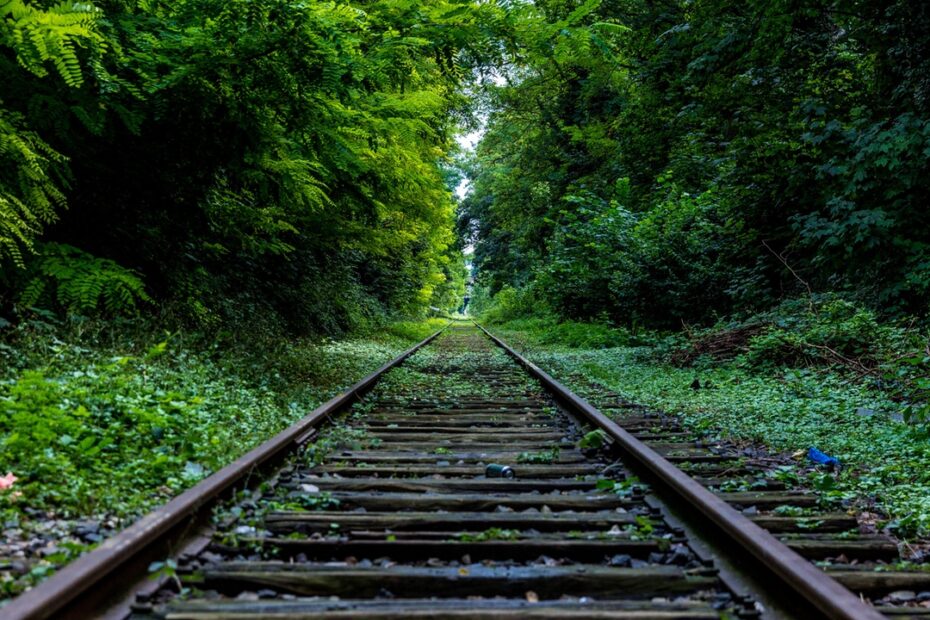 Beautiful railroad tracks with forest